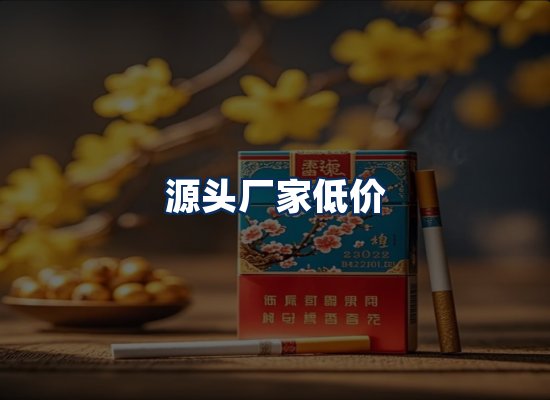专业团队办公环境